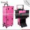 New design low cost lighted beauty pink trolley case with mirror