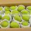 China best fresh Yali pears manufacturer