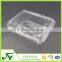 Plastic Clamshell Fruit Container