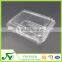 Rectangular transparent plastic fruit packaging container