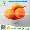 Greenflower 2016 Wholesale artificial fruit orange China handmake forma fruit for school resturant decoration