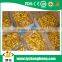 hot sale 2015 new crop ginger
