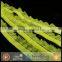 China best online shopping wear-resistant cozzy garment accessories webbing