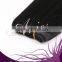 100% Remy Indian Human Hair