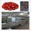 high effciency and energy saving tunnel microwave sterilizer machine