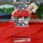 Fashion Crystal gift for Office and Home Decoration