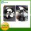Factory Supply Roof Mounted Solar Attic Fan