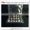 Low Price 30pcs High Transparent Quail Egg Tray