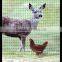 Stretched Plastic Deer Fencing Nets