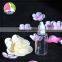 plastic clear PET 20ml 10ml e liquid dropper bottle, 30ml PET dropper bottle with childproof tamper cap, 10ml eliquid bottle