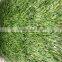 Standard FIFA 2 Star Artificial Grass/ Turf for Soccer