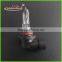 H10 12V42W auto car halogen bulb Clear Color