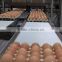 CHICKEN TABLE EGGS WHITE AND BROWN 60-70 GRAMS