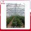 commerical polyethylene green house film cover for farming