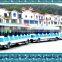 More Than 10 Years Experience in Amusement Funny Electric Trackless Train