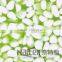 Pebble Wash Stone, Glass Pebble Mosaic Tile