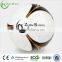 Zhensheng indoor soccer match ball