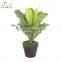 hot sale artificial decorative plastic birdsnest fern plant bonsai