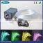 Fiber optic christmas lights.6 color or twinkle white color change