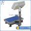 best sale carton steel high quality precision bench paltform scale for industrial
