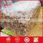China product edible kernels
