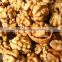 competitive price walnut kernel and cheap walnut kernel