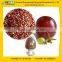 GMP Manufacturer Supply Natural OPC Grape Seed Extract