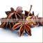 High quality Vietnamese green, dried star anise in bulk by HAGIMEX