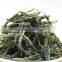 Grade AAA of Huangshan MaoFeng Green Tea
