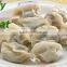 Chinese traditional foods frozen dumpling