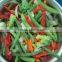 new season califlornia vegetable