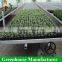 Greenhouse Movable Seed Bed/Seed Bed Nets