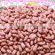 Chinese New Crop Raw Peanut Kernel