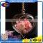 clear glass Vase glass Landscape bottle 2 sizes hanging available