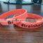 Whole frequency colourful silicon wristband