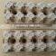 Egg Tray/Plastic vaccine quail egg tray/Disposable egg tray