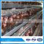 Quality supplier battery cage for poultry layers
