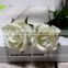 GNW FL-RS70-8CM White elegant indian rose flower for wedding party