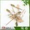 Disposable round moso bamboo stick