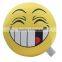 China Printing Custom Wholesale Decorative Throw Pillows