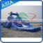 The Dolphins Inflatable Water Slides With Pool For Party and Events, Cheap Inflatable Slide