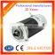 High Speed 12V 1200W Permanent Magnet DC Motor hydraulic