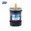 ZD MOTOR, AC motor without gearbox 220V 60W