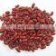 200-220 pcs/100g Chinese Dark Red Kidney Bean Prices