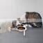 Custom Acrylic Raised Elevated Adjustable Cat Bowls Stand for 3 Pets