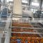 Automatic commercial date paste production line industrial palm dates paste processing plant equipment factory price for sale