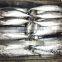 New coming and good quality frozen bonito with size 40 - 50