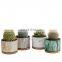 Factory Cheap Ceramic Pots Succulent Unique Small Circle Marble Vein European Indoor Flower Pot