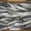 BQF FROZEN Whole Round Scad