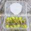 JOHNCOO 4.5cm 0.9g High Quality TPE Material T Tail Paddle Crappie Shad Bait Set Small Fishing Lure
